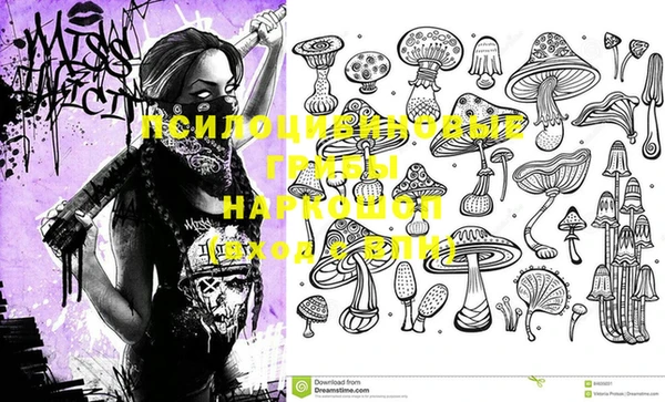 гашик Покачи