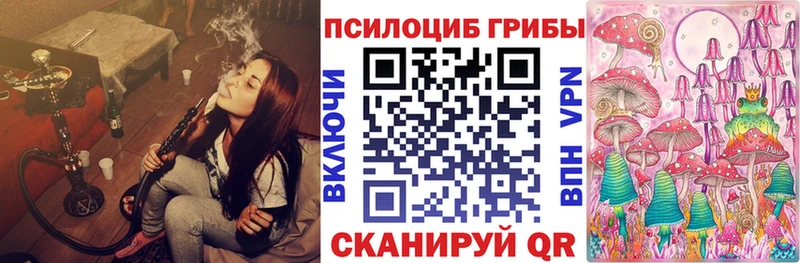 shop формула  Стрежевой  Псилоцибиновые грибы Psilocybine cubensis 