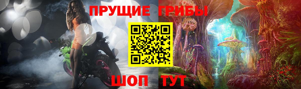 Псилоцибиновые грибы мицелий Стрежевой